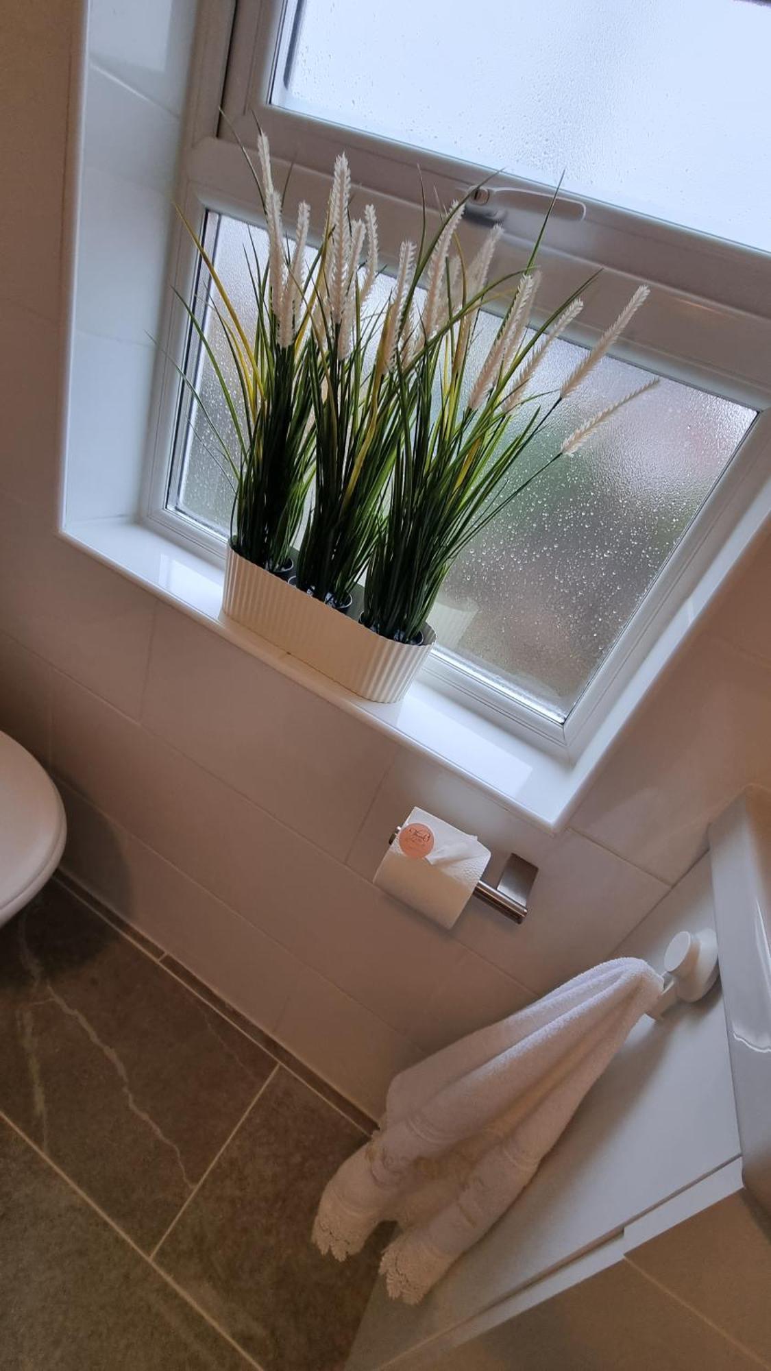 City Of Chester Award Winning Cottage -Pixie Terrace Chester Extérieur photo